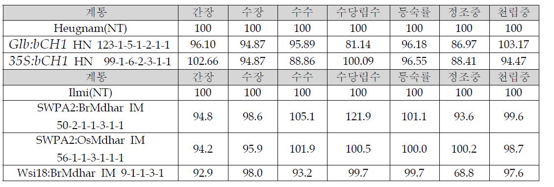 항산화 유전자 bCH1, Mdhar 도입 형질전환 선발계통의 수량성 검정 (‘11)