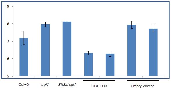 애기장대 N-Glycosylation pathway 에 관여하는 CGL1유전자 과발현이E.carotovora 의 증식을 억제함