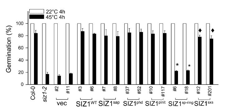 siz1-2 mutant의 thermosensitive seed germination phenotype을complementation 함.