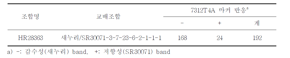 DNA 마커 검정결과