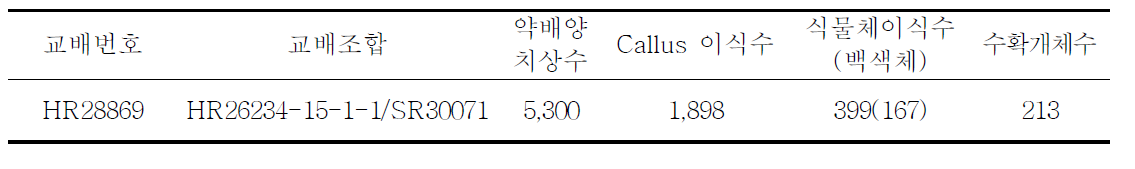 HR28869조합의 약배양 후대 개체수