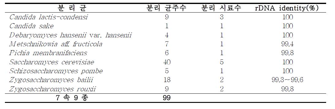 발효 효소액에서 분리한 효모