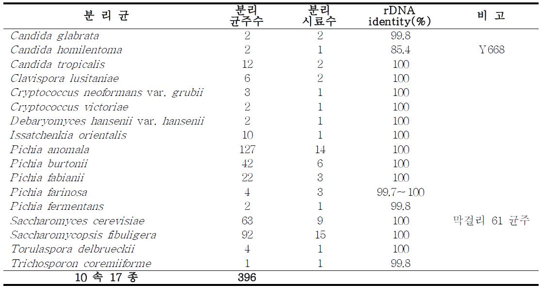 누룩 및 막걸리에서 분리, 동정한 효모 균주