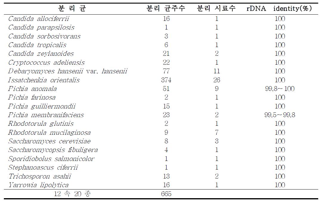 메주에서 분리한 효모