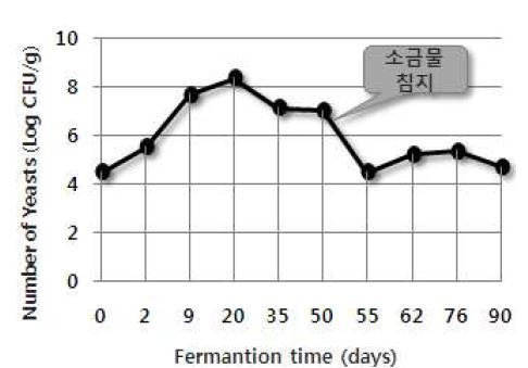 메주 발효 시기별 효모 밀도