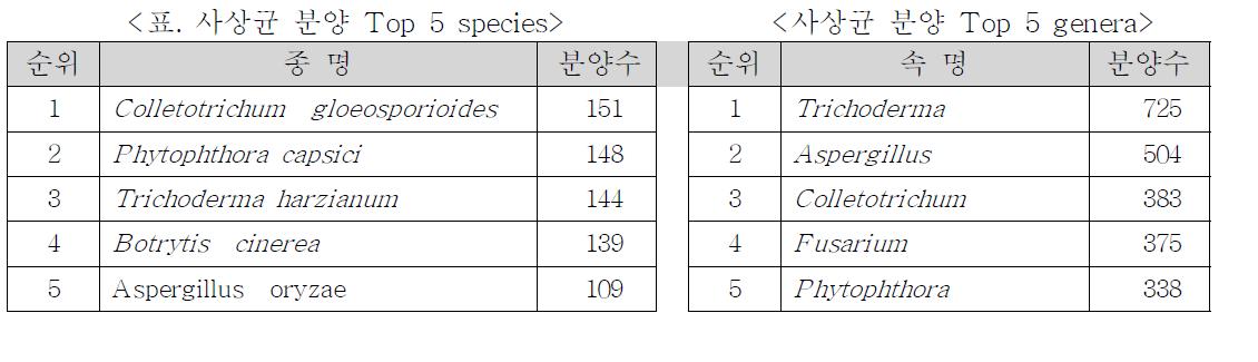 속 및 종별 분양 숫자