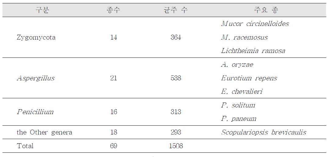 메주 분리균의 동정 결과