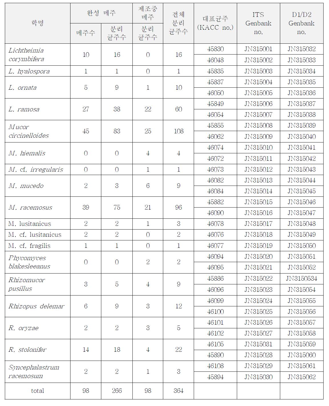 메주에서 분리된 접합균 곰팡이의 종별 분리 빈도와 대표 균주