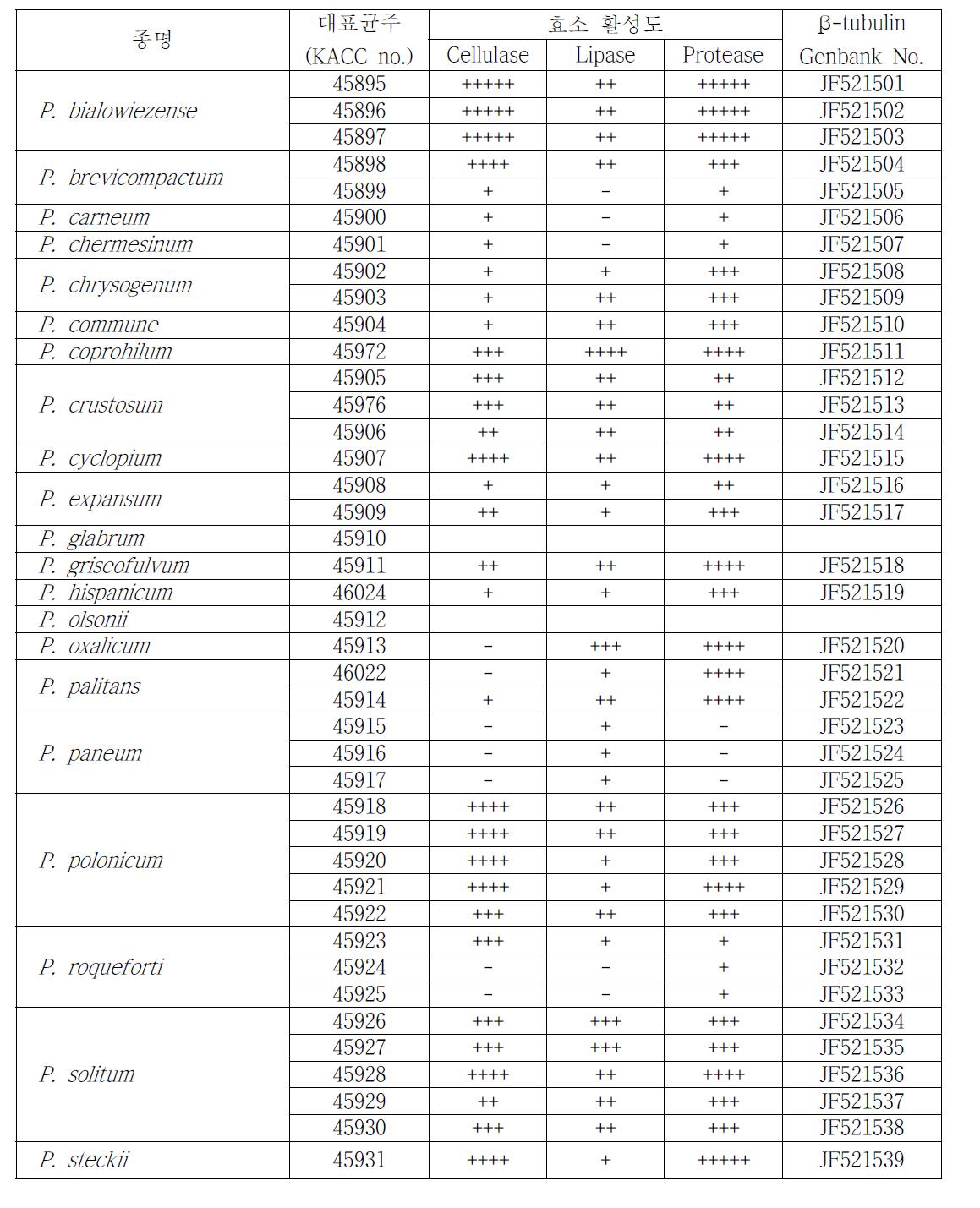 메주 분리 Penicillium 속 종과 효소 활성도