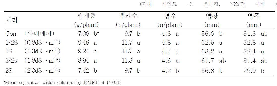 분무경에서 배양액 농도별 팔레놉시스 유묘의 생육