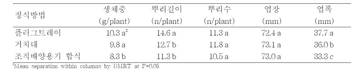 분무경에서 정식방법에 따른 팔레놉시스 유묘의 생육