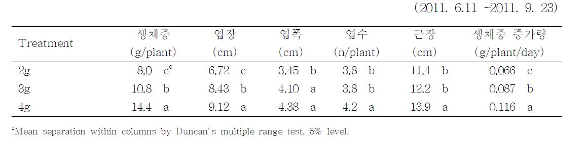 정식 시 배양묘의 무게가 분무경 정식 이후의 생육에 미치는 영향