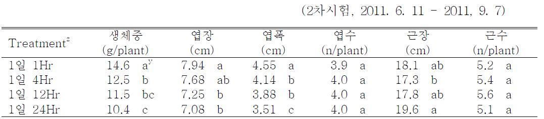 분무간격이 팔레놉시스 유묘 P halaenopsis