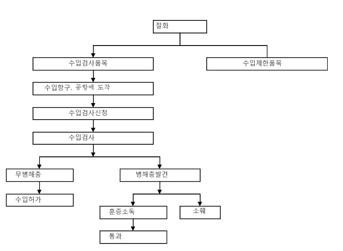 절화가 일본에 수입되는 검역 절차