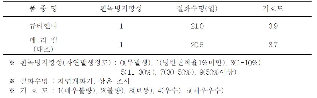 ‘큐티엔디’ 품종의 흰녹병 저항성, 절화수명 및 기호도