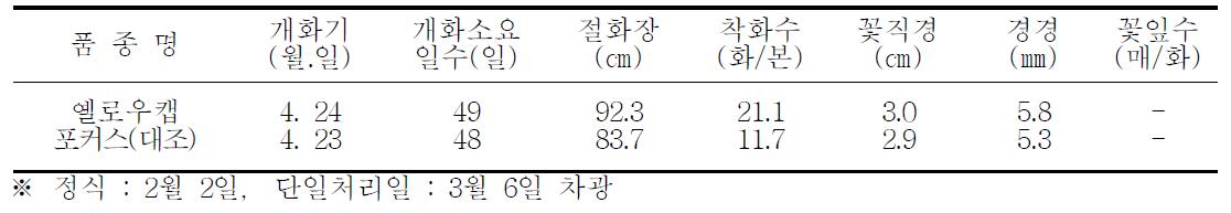 억제재배 특성