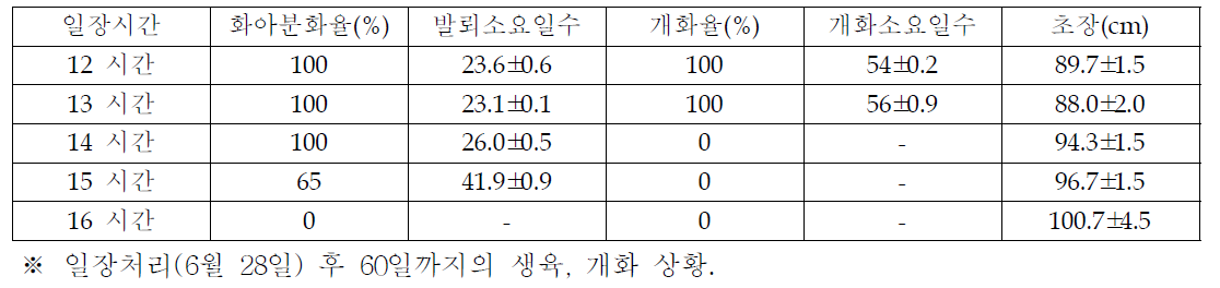 백마품종의 화아분화에 미치는 일장 효과