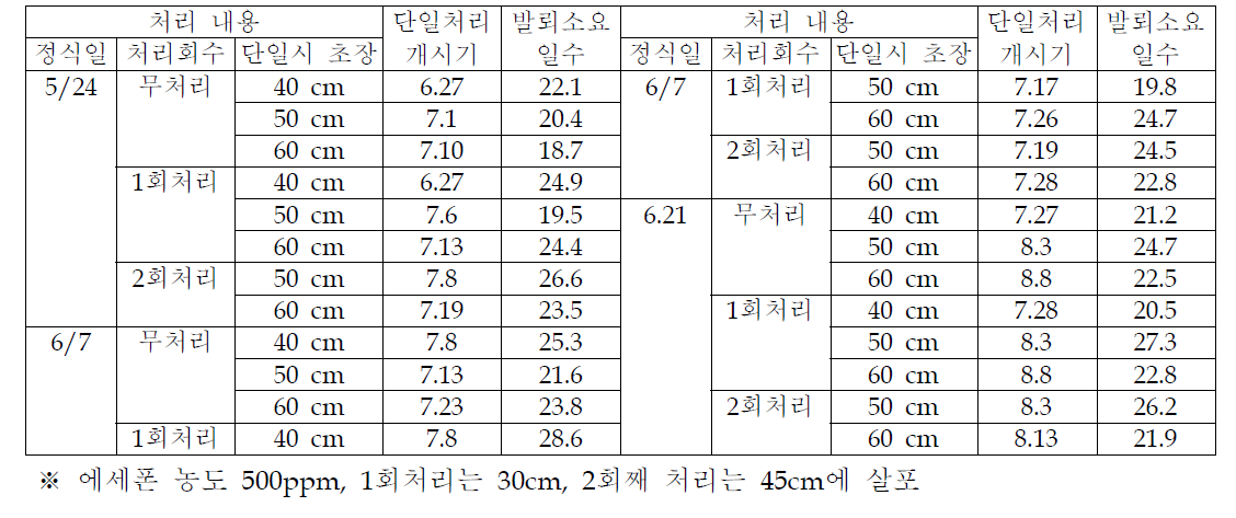 에세폰처리가 백마품종의 화아분화에 미치는 영향