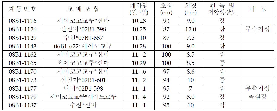 ‘08-’09 교배 실생 선발계통