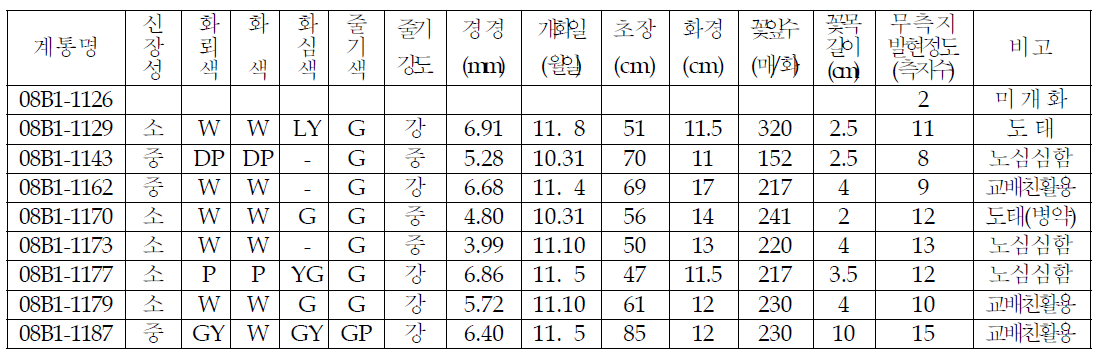 1차 특성검정 11계통에 대한 생육 및 개화 특성검정