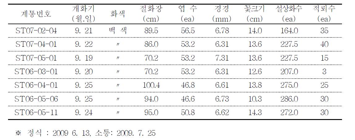 2009년 2차 선발계통 개화특성 : 7계통 선발