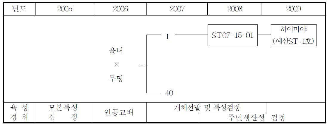 ‘하이마야’의 육성 계보도