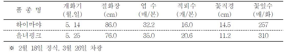 ‘하이마야’의 억제재배 특성 (’09. 예산국화)