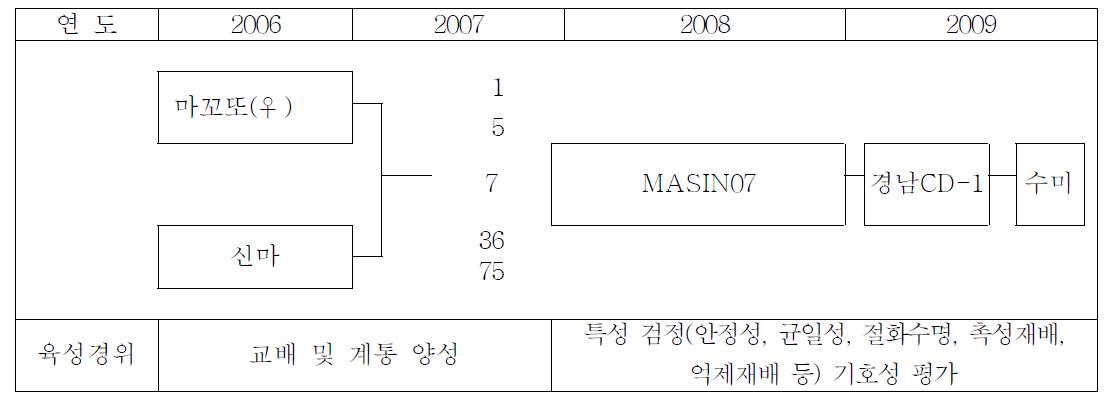 스탠다드 국화 ‘수미’의 육성과정