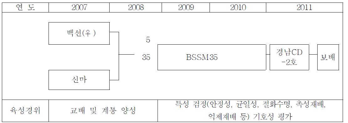 스탠다드 국화 ‘보배’의 육성과정