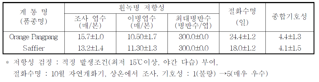 국화 ‘오렌지팡팡’ 흰녹병 저항성, 절화수명 및 기호성