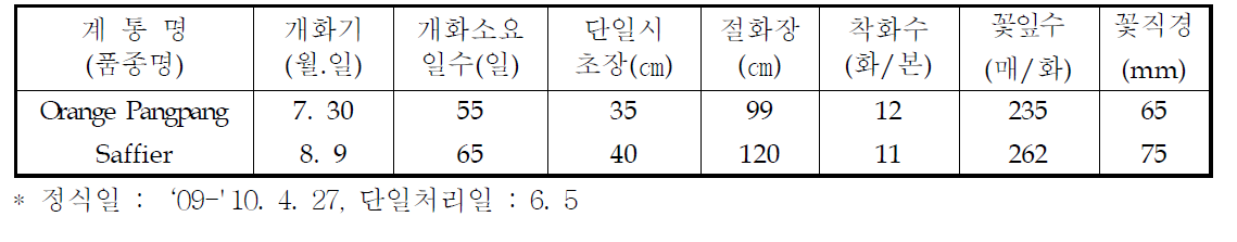 국화 ‘오렌지팡팡’ 하계 촉성재배 특성