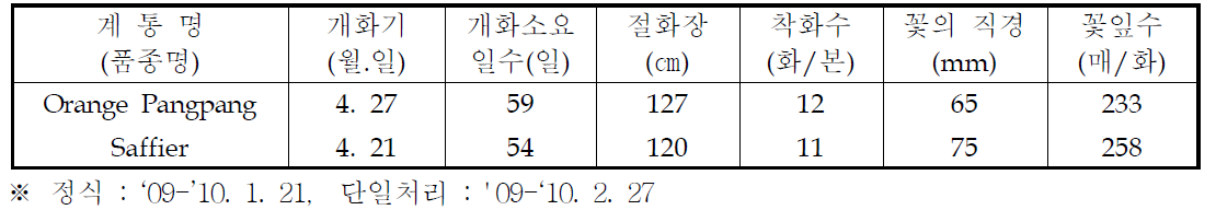 국화 ‘오렌지팡팡’ 춘계 억제재배 특성