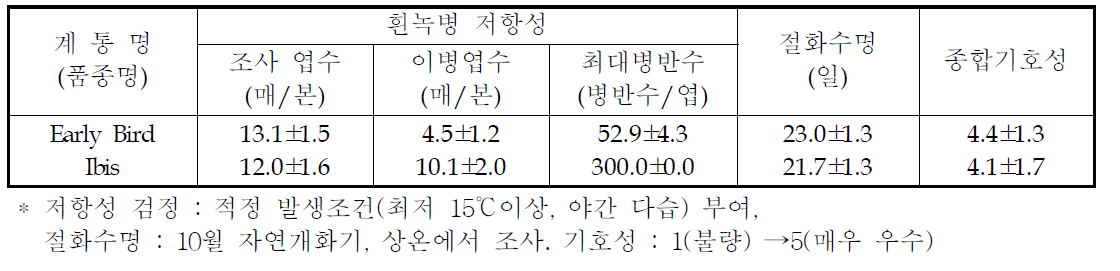 국화 ‘어얼리버드’ 흰녹병 저항성, 절화수명 및 기호성