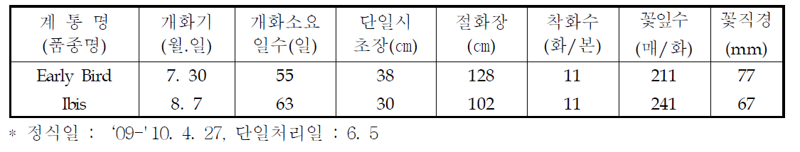 국화 ‘어얼리버드’ 하계 촉성재배 특성