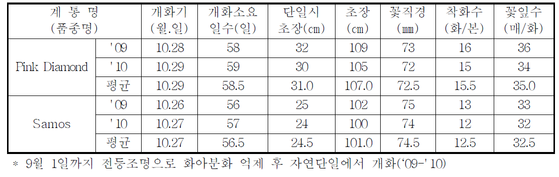 국화 ‘핑크다이아몬드’ 가변특성