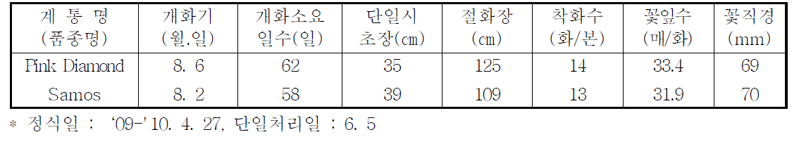 국화 ‘핑크다이아몬드’ 하계 촉성재배 특성