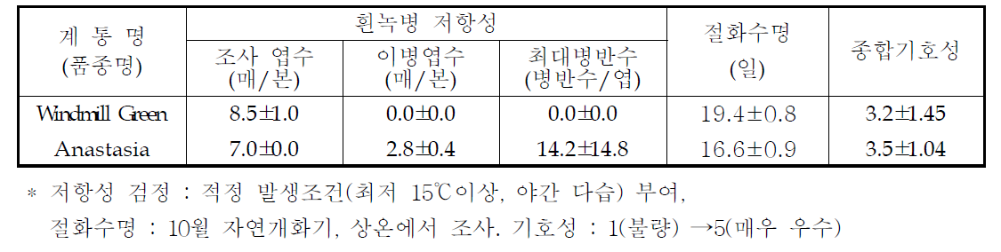 국화 ‘윈드밀그린’ 흰녹병 저항성, 절화수명 및 기호성