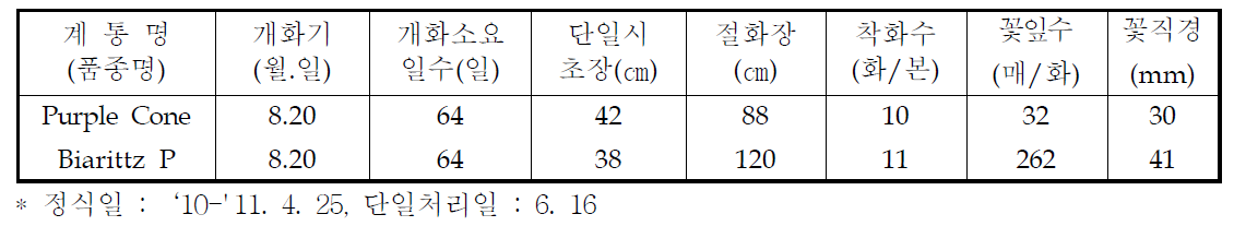 국화 ‘퍼플콘’ 하계 촉성재배 특성