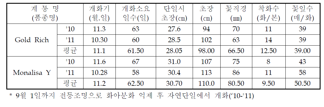 국화 ‘골드리치’ 가변특성