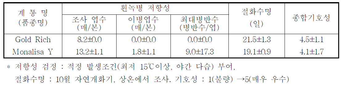 국화 ‘골드리치’ 흰녹병 저항성, 절화수명 및 기호성