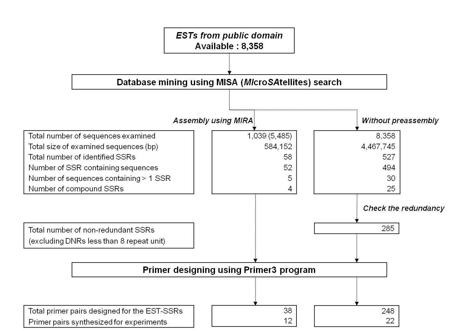 Scheme used for database mining and development of microsatellite markers from chrysanthemum EST.