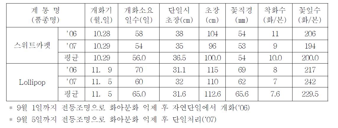 국화 ‘스위트카펫’ 자연재배성적