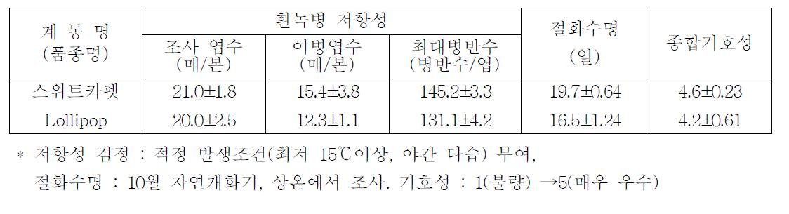 국화 ‘스위트카펫’흰녹병 저항성, 절화수명 및 기호성