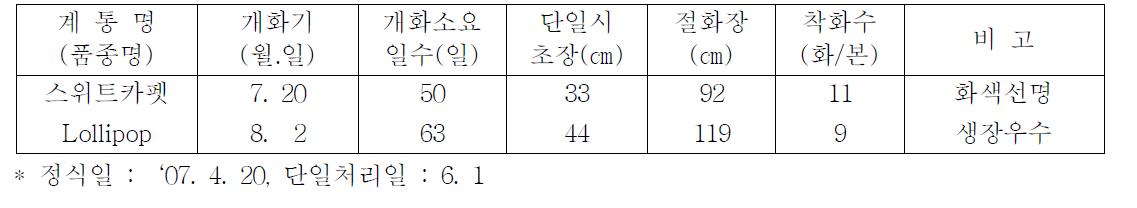 국화 ‘스위트카펫’ 하계 촉성재배 특성