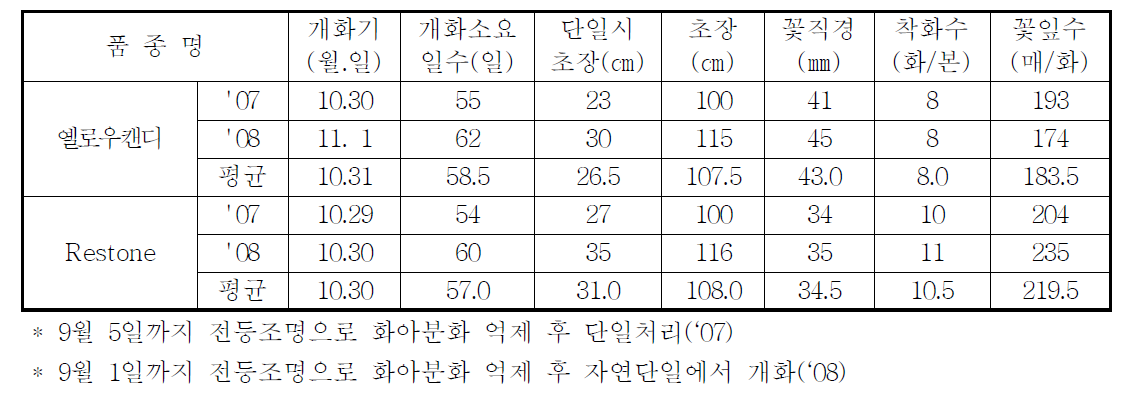 국화 ‘옐로우캔디’ 가변특성