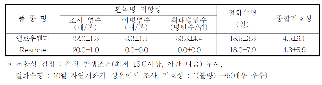 국화 ‘옐로우캔디’ 흰녹병 저항성, 절화수명 및 기호성