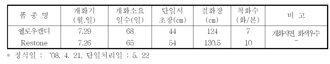 국화 ‘옐로우캔디’ 하계 촉성재배 특성