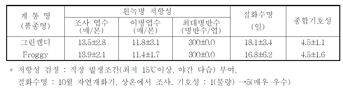 국화 ‘그린캔디’ 흰녹병 저항성, 절화수명 및 기호성