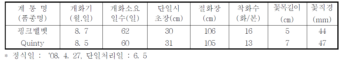 국화 ‘핑크벨벳’ 하계 촉성재배 특성