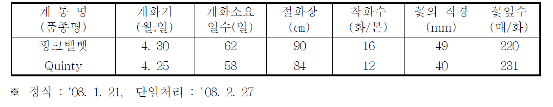 국화 ‘핑크벨벳’ 춘계 억제재배 특성